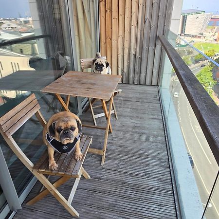 Benji & Milos Apartments Belfast Ngoại thất bức ảnh
